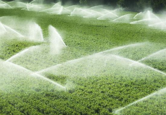 除草劑如何有效降解