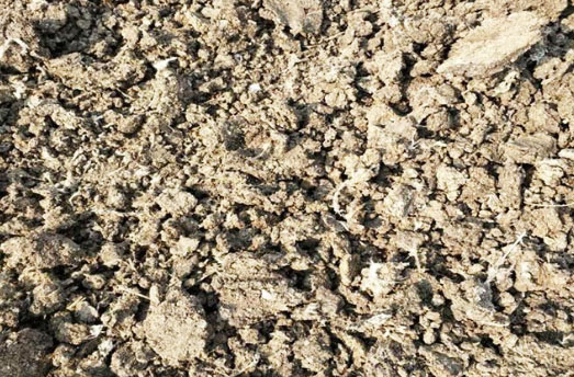 雞糞堆肥發酵技術要點