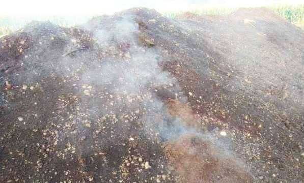 豬糞堆肥發(fā)酵技術(shù)要點(diǎn)