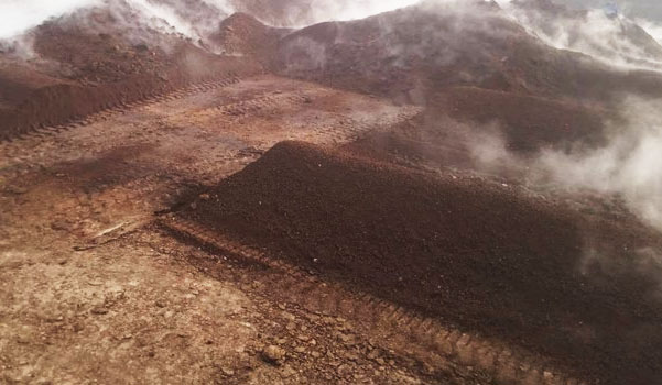 羊糞發(fā)酵過程分為哪幾個(gè)階段？