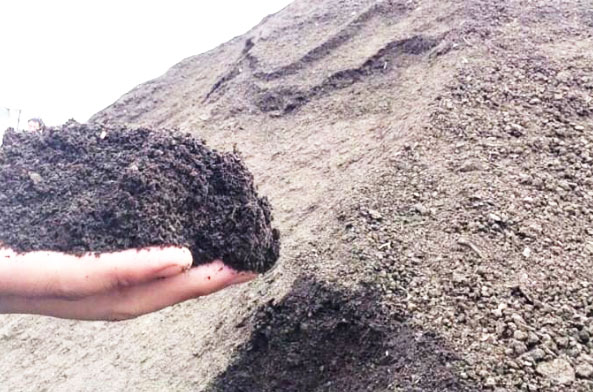 羊糞發(fā)酵過程分為哪幾個(gè)階段？