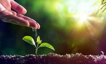 雞糞發酵有機肥有哪些用途