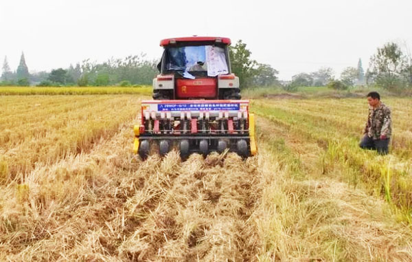 水稻秸稈綜合利用技術(shù)有哪些？
