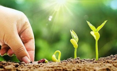 如何判別枯草芽孢桿菌的優(yōu)劣