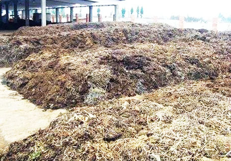 堆肥發(fā)酵工藝流程