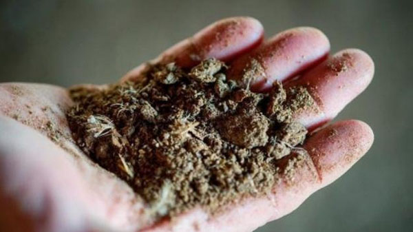 堆肥發(fā)酵工藝流程