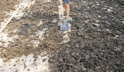 雞糞如何發(fā)酵成有機(jī)肥