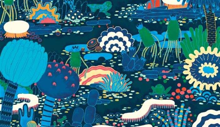 膠凍樣芽孢桿菌在農業種植上有哪些作用