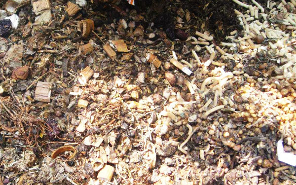 中藥渣如何發(fā)酵做有機肥料