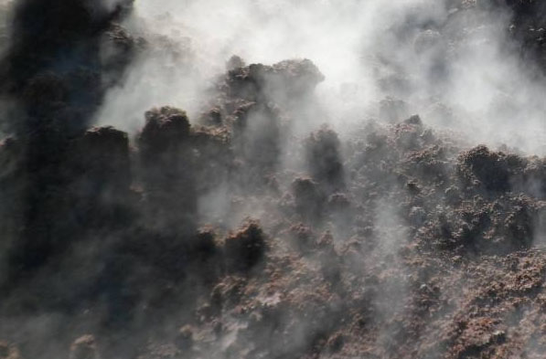 中藥渣如何發(fā)酵做有機肥料