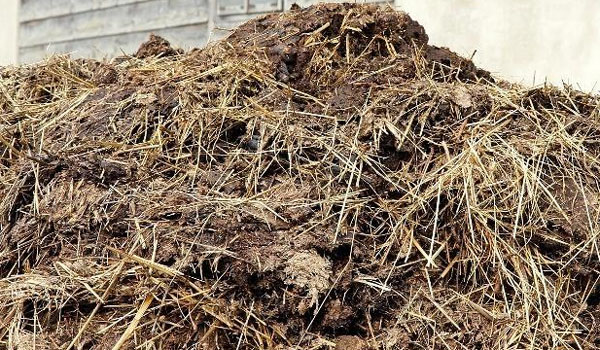 中藥渣如何發(fā)酵做有機肥料