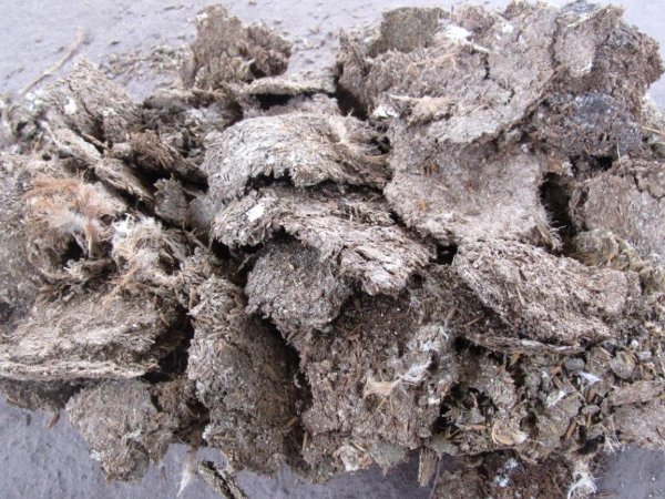 雞糞可以自然發酵為何還要使用發酵劑呢？