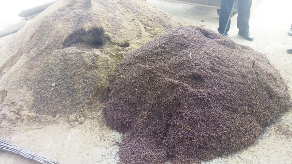 畜禽糞便發酵有機肥常見問題及解決方法