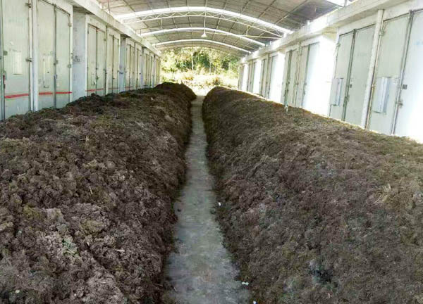 畜禽糞便發酵有機肥常見問題及解決方法