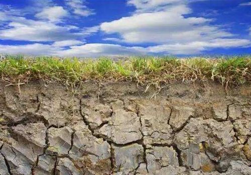 如何應(yīng)對(duì)重茬等土傳病害？