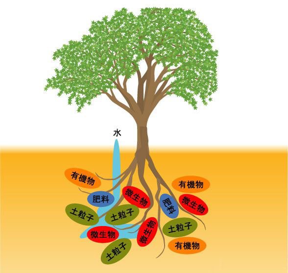 如何應(yīng)對(duì)重茬等土傳病害？