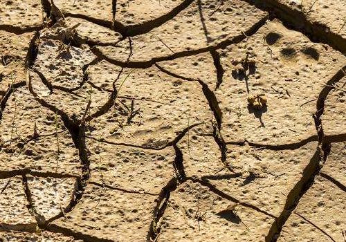 如何應(yīng)對(duì)重茬等土傳病害？