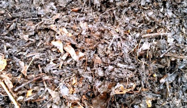 有機肥發酵劑在不同發酵原料上的應用