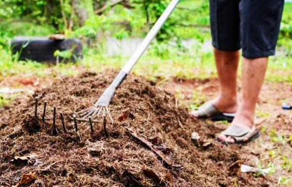 都說有機肥比化肥好，好在哪里？