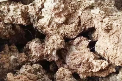 豬糞如何發酵腐熟？