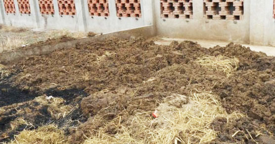 豬糞如何快速發(fā)酵腐熟