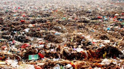 生活垃圾做有機肥過程中為什么會長灰白毛毛？