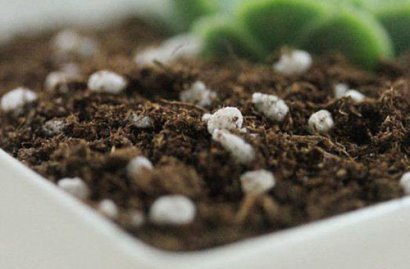 去年買的生物有機肥“長毛”是過期變質了嗎？