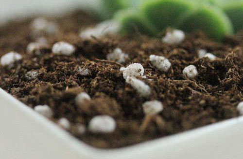 去年買(mǎi)的生物有機(jī)肥“長(zhǎng)毛”是過(guò)期變質(zhì)了嗎？