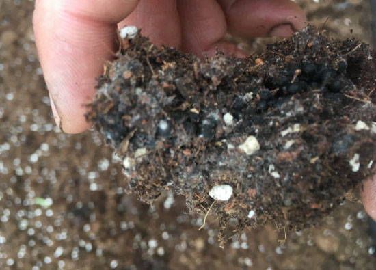 去年買(mǎi)的生物有機(jī)肥“長(zhǎng)毛”是過(guò)期變質(zhì)了嗎？