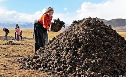 如何選擇合適的牛糞堆積發(fā)酵方法