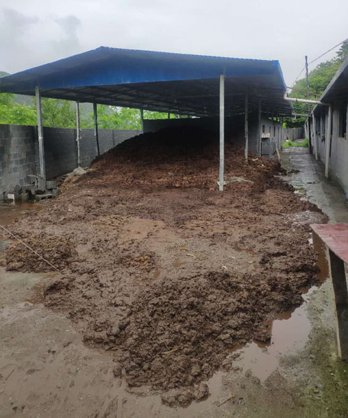 牛糞發酵有機肥的方法