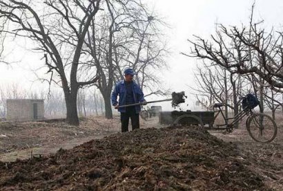 牛糞發(fā)酵有機(jī)肥的制作方法