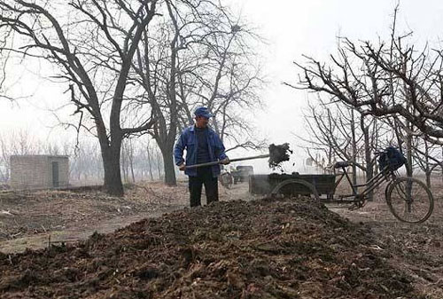 牛糞發(fā)酵有機(jī)肥的制作方法