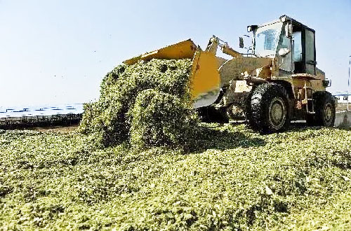 秸稈肥料的發酵處理操作技術