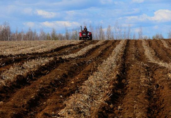傳統(tǒng)牛糞發(fā)酵方法和現(xiàn)在牛糞發(fā)酵方法有何區(qū)別