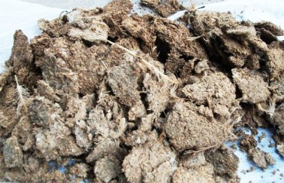 自制雞糞有機(jī)肥是不是見到長毛就算發(fā)酵好了
