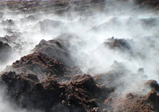 如何通過發酵制作牛糞有機肥