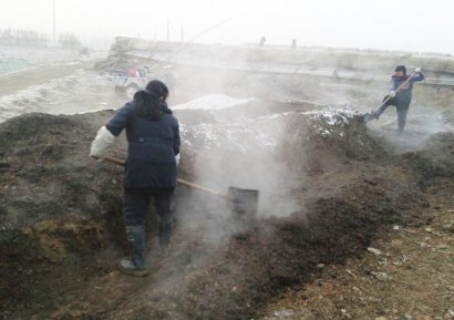 豬糞有機肥堆肥發酵的方法與流程