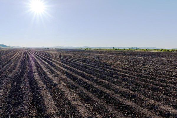 豬糞有機肥堆肥發酵的方法與流程