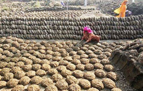 有機肥發酵方式有幾種類型