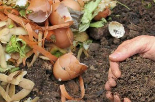 有機肥發酵方法哪個好，如何選擇？