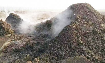 豬糞有機(jī)肥用哪種發(fā)酵方法好