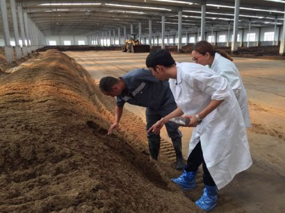 有機肥好氧發酵的原理與過程