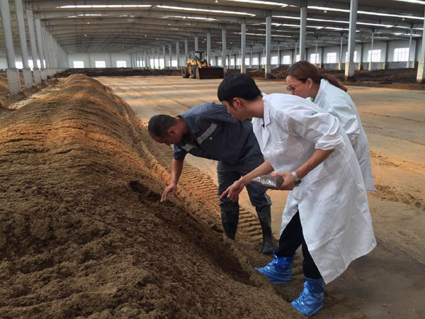 有機(jī)肥好氧發(fā)酵的原理與過程