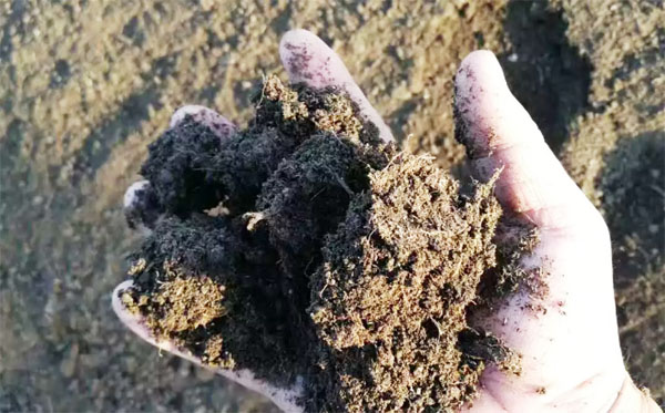 發酵豬糞有機肥過程控制含水量