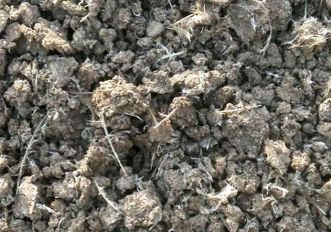 雞糞如何快速發(fā)酵腐熟做有機(jī)肥料