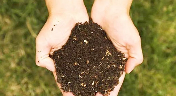 干雞糞如何制作成有機肥有哪些用途