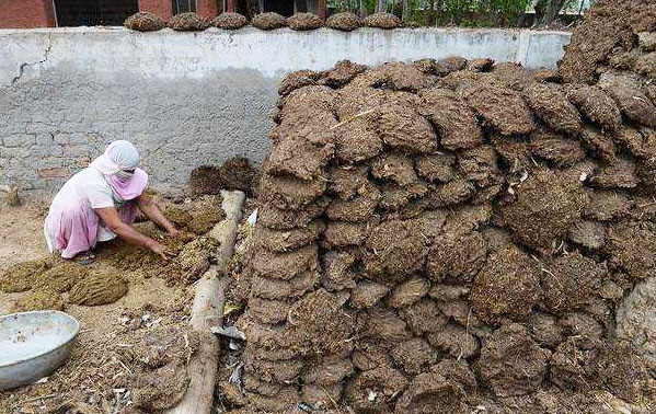 牛糞堆肥發酵該怎么進行？