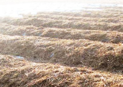 秸稈肥發酵過程中需要注意哪些？