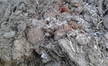 干雞糞如何發酵腐熟，發酵后如何使用？